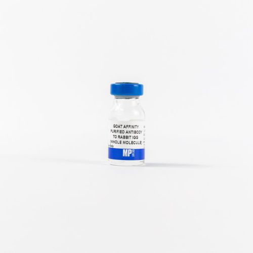 IgG-Reagenz - 0855641 - MP Biomedicals - Antikörper / Enzyme / für Forschungszwecke