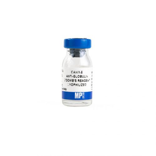 IgG-Reagenz - 08646352 - MP Biomedicals - Antikörper / Serum / für Forschungszwecke