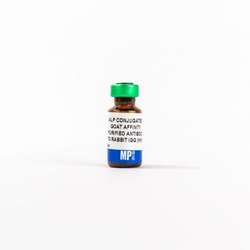 IgG-Reagenz - 0859298 - MP Biomedicals - Antikörper / für Forschungszwecke / Gewebe