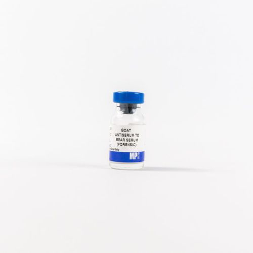 Protein-Reagenz - 0856009 - MP Biomedicals - Antikörper / Antiserum / für Forschungszwecke