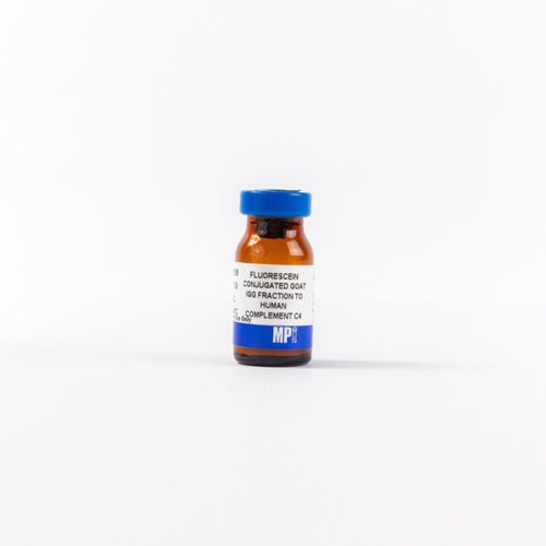 IgG-Reagenz - 0855168 - MP Biomedicals - Antikörper / für Forschungszwecke / Immunohistochimie