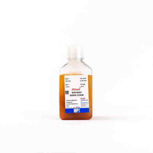 Serum-Reagenz - 0929121-CF - MP Biomedicals - Serum von neugeborenem Kalb / für Forschungszwecke