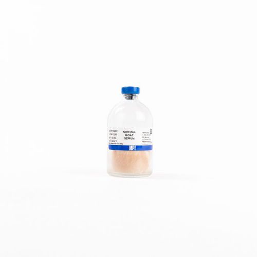 Antikörper - 08642921 - MP Biomedicals - Ziegenserum / Albumin aus Rinderserum / für Forschungszwecke