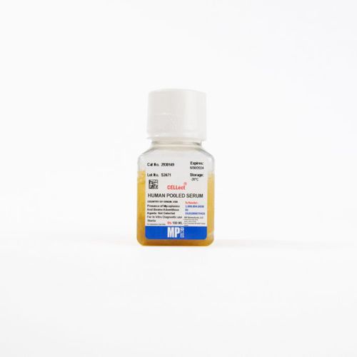 Protein-Reagenz - 0929301-CF - MP Biomedicals - Serum / für Forschungszwecke / Viren