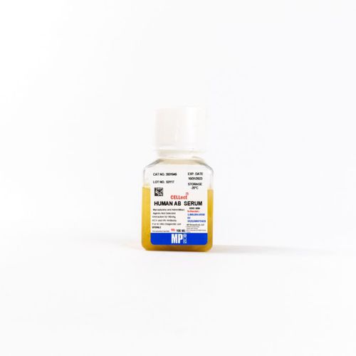 Protein-Reagenz - 092931949 - MP Biomedicals - Serum / für Forschungszwecke / für Zellkultur