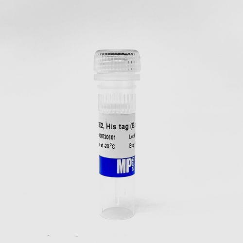 Protein-Reagenz - 0872060-CF - MP Biomedicals - reaktives Milieu / für Forschungszwecke / Escherichia coli