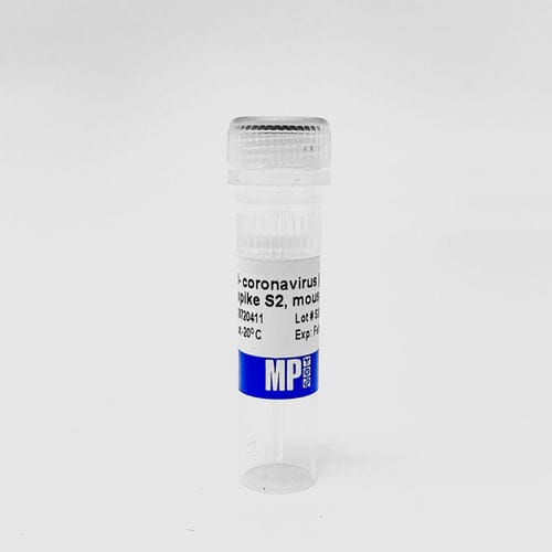 Protein-Reagenz - 0872041-CF - MP Biomedicals - Antikörper / für Forschungszwecke / SARS-COV-2