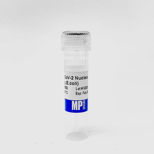 Protein-Reagenz - 0872050-CF - MP Biomedicals - reaktives Milieu / für Forschungszwecke / SARS-COV-2