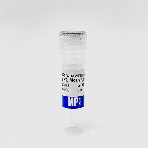 Protein-Reagenz - 08720402 - MP Biomedicals - Antikörper / monoklonaler Antikörper / für Forschungszwecke