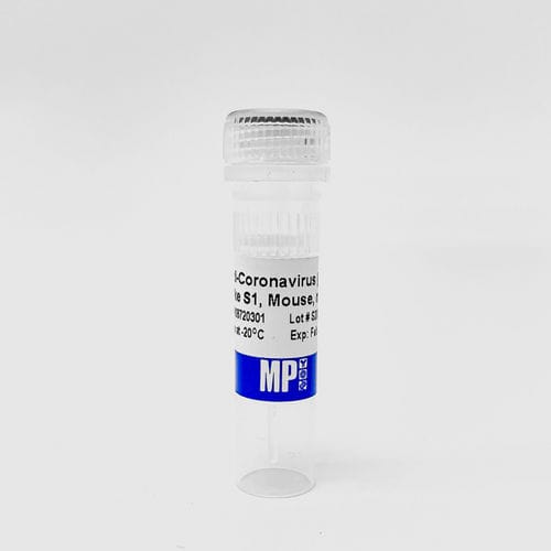 Protein-Reagenz - 08720301 - MP Biomedicals - Antikörper / monoklonaler Antikörper / für Forschungszwecke