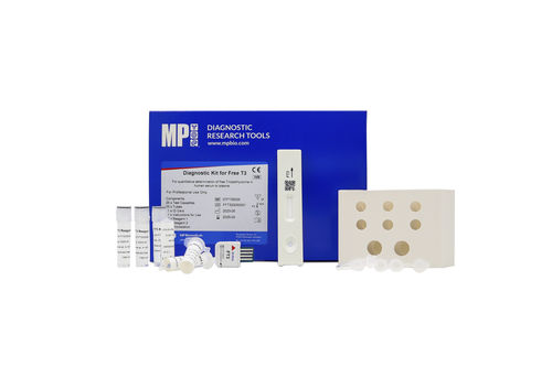 Testkit für ft3 - 07FT35025 - MP Biomedicals - für Schilddrüsenerkrankungen / Serum / Plasma