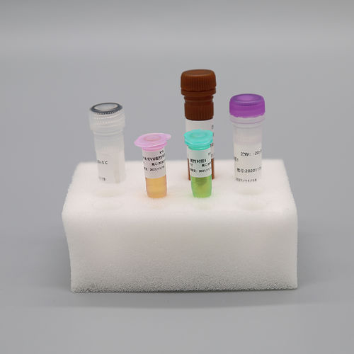 Reaktives Milieu - Beijing OriginGene-Tech Biotechnology Co.,Ltd - für PCR / für DNA-Extraktion / für RNA-Extraktion