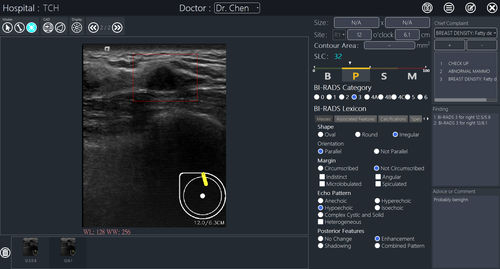 Reporting-Software - BR-FHUS Viewer™ - TaiHao Medical - Viewer / Diagnose / zur Brustkrebs-Früherkennung