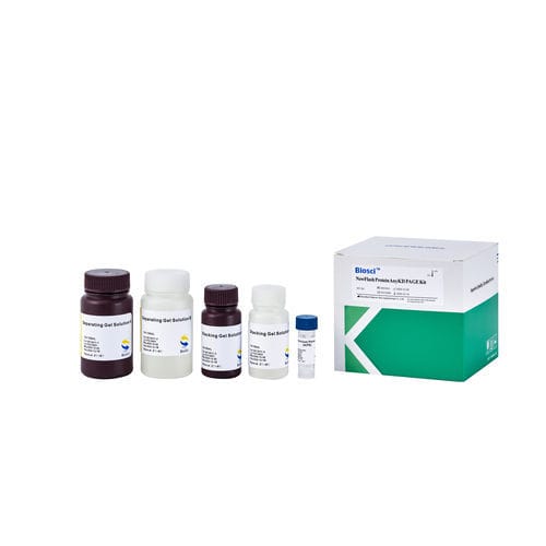 Reagenz für Western Blot - BioSci™  - Dakewe (Shenzhen) Medical Equipment Co., Ltd. - als Lösung / für Forschungszwecke / Protein