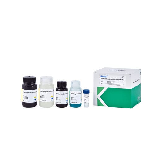 Reagenz für Western Blot - BioSci™  - Dakewe (Shenzhen) Medical Equipment Co., Ltd. - als Lösung / für Forschungszwecke / flüssig