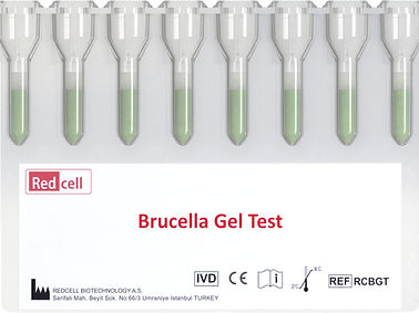 Testkit für Infektionskrankheiten - Redcell Biotechnology - Brucella