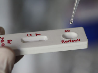 COVID-19-Schnelltest - RCCOVST   - Redcell Biotechnology - für Antikörper / SARS-COV-2 / Nasen