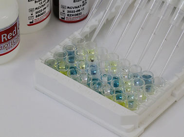 ELISA-Kit - Redcell Biotechnology - COVID-19 / Störfestigkeit / neutralisierende Abwehrkörper
