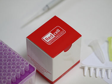 Reagenzkit / als Lösung - Redcell Biotechnology - für RT-qPCR / SARS-COV-2