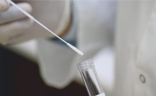Labor-Probenahmeröhrchen - Redcell Biotechnology - zylinderförmig / Kunststoff