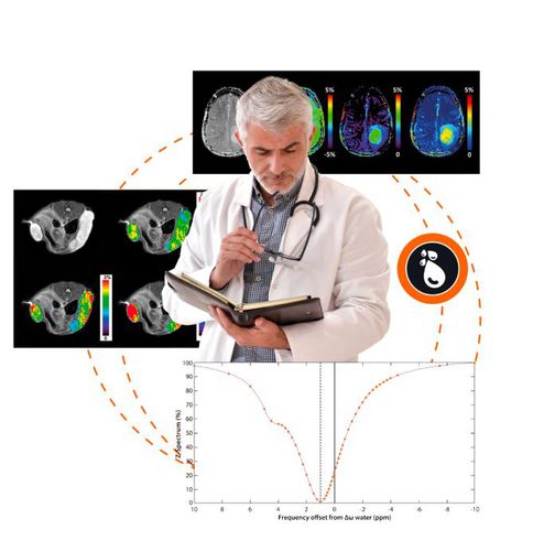 Analysesoftware - APT CEST MRI V.1.0 - Olea Medical - Nachbearbeitung / Kartografie / medizinisch