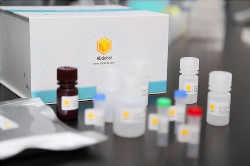 ELISA-Testkit - RK04149 - ABclonal Technology - für Forschungszwecke / neutralisierende Abwehrkörper / Kupfer