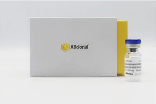 Reagenz / als Lösung - RP01258 - ABclonal Technology - rekombinantes Antigen / für Forschungszwecke / gefriergetrocknet