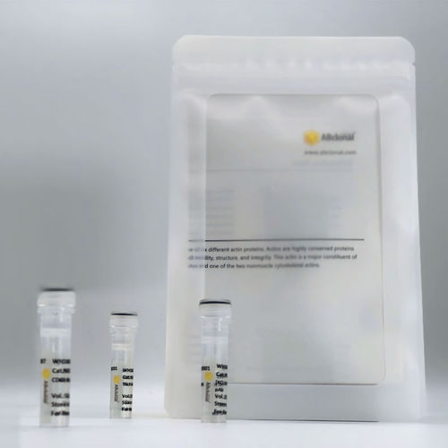 Enzyme-Reagenz - A20022 - ABclonal Technology - Immunohistochimie / für Immunofluoreszenz / Protein