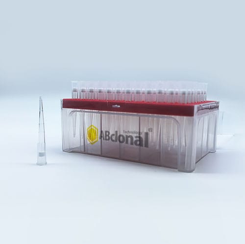 Filterpipettenspitze - AI200R3 - ABclonal Technology - steril