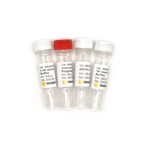 DNA-Polymerase-Reagenz - RK20714 - ABclonal Technology - Taq-Polymerase / für PCR