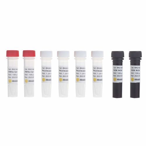 Taq-Polymerase-Reagenzkit - RK20407 - ABclonal Technology - Pufferlösung / Farbstoff / für RT-qPCR