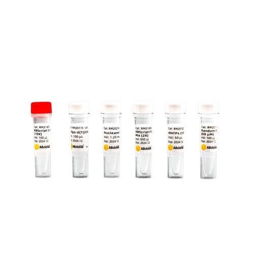 Reagenz / umgekehrte Transkriptase - RK20400 - ABclonal Technology - für RT-PCR / für cDNA-Synthese