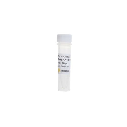 Monoklonaler Antikörper - RK20545 - ABclonal Technology - Taq-Polymerase / für PCR / mit Warmstart