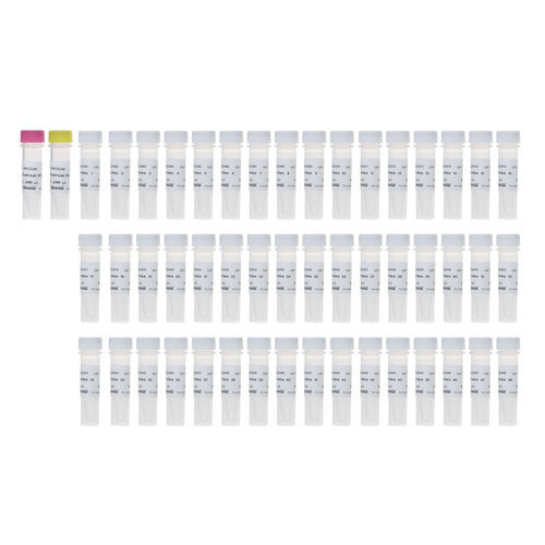 Reaktives Milieu - RK20294 - ABclonal Technology - für PCR / für neuartige Sequenzierung / für Hybridisierung