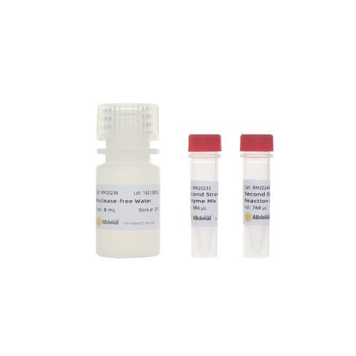 Pufferlösung - RK20346 - ABclonal Technology - Enzyme / zur Herstellung von RNA-Bibliotheken