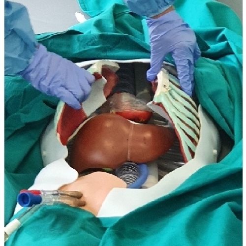 Simulator für die Ausbildung - PerfusionSim™ - Accurate S.r.l. - für Punktionen / endovaskulär / für die Herzchirurgie