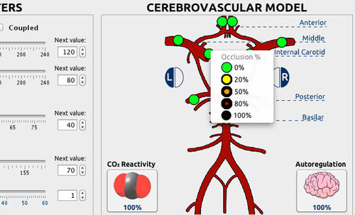 Analysesoftware - NewroSim™ - Accurate S.r.l. - Visualisierung / Ausbildung / Bewertung