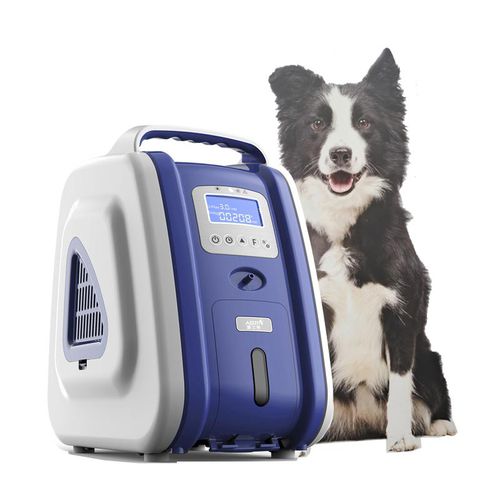Sauerstoffkonzentrator für Veterinärmedizin - Shenyang Aerti Tech
