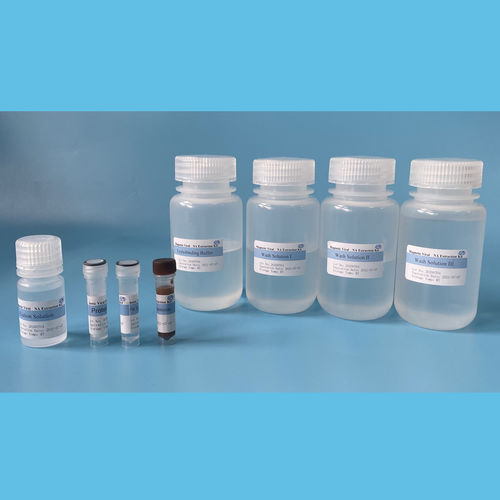 Magnetkugeln-Reagenzkit - EmerTher® Viral  - The EmerTher Company - für DNA-Extraktion / für RNA-Extraktion / Gene