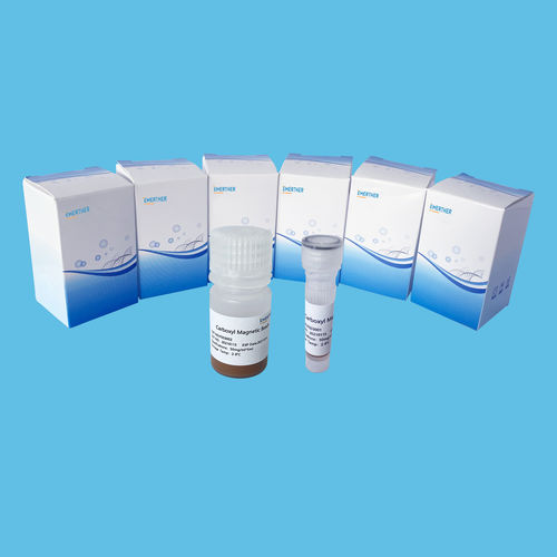 Magnetkugeln-Reagenz - EmerTher®Carboxyl Magnetic Beads - The EmerTher Company - zur Proteinanalyse / für ADN-Konzentration / für ARN-Konzentration