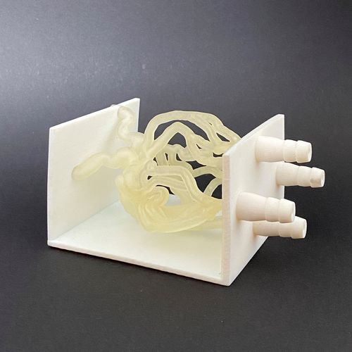 Blutgefäße-Gefäßmodell - Schiner3DRepro - für Gefäßchirurgie / Ausbildung