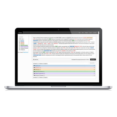 Patientendatensoftware - Savvy - BMD Software - Analyse