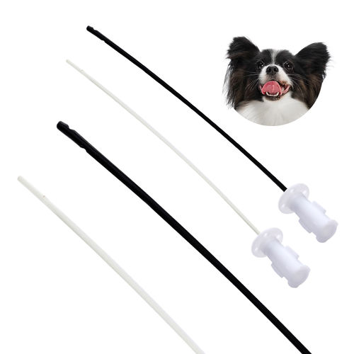 Veterinärkatheter für Urindrainage - Nanchang Kindly Meditech