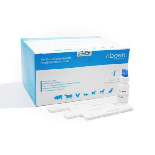 Schnelltest für Veterinärmedizin - C30011 - Ring Biotechnology Co Ltd. - für Schweine / für Antikörper / Blut