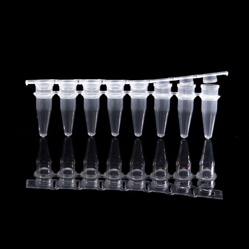 Reagenzglas für PCR - B1 series - HWTAi - Mikrobiologie / mit V-förmigem Boden / für DNA