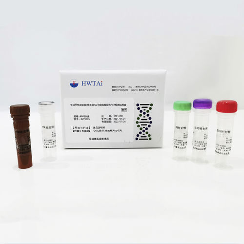 Testkit für Infektionskrankheiten - HWTAi - für Rindertuberkulose / für Tiere / für Ziegen