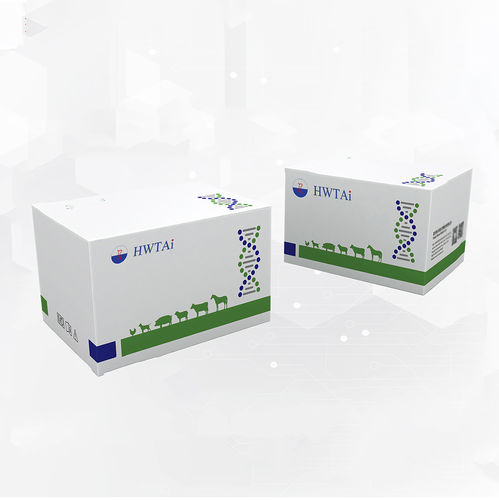 Testkit für Infektionskrankheiten - HWTAi - für Giardiasis / für Tiere / für Hunde