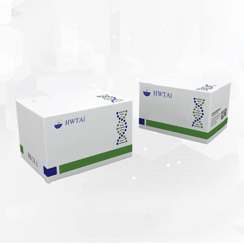 Nahrungsmittelintoleranz-Testkit - HW20006 - HWTAi - für die Lebensmittelsicherheit / für Antikörper / für IgG4