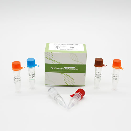 Testkit für Forschungszwecke - RUO - Jiangsu Bioperfectus Technologies Co., Ltd. - SARS-COV-2 / Nasen-Rachenraum / Sputum
