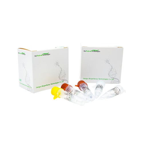 COVID-19-Testkit - JC10223-1NW - Jiangsu Bioperfectus Technologies Co., Ltd. - für Infektionskrankheiten / SARS-COV-2 / Nasen-Rachenraum